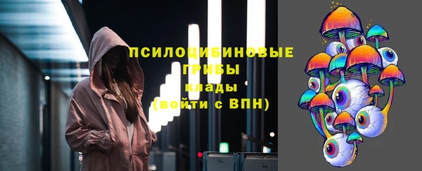 PSILOCYBIN Тихвин