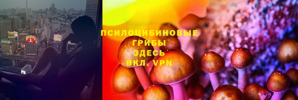 PSILOCYBIN Тихвин