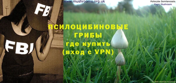 PSILOCYBIN Тихвин