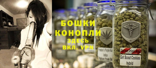PSILOCYBIN Тихвин