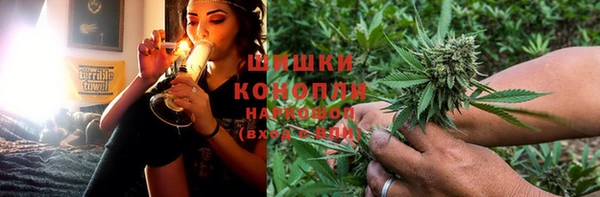 ALPHA PVP Тобольск
