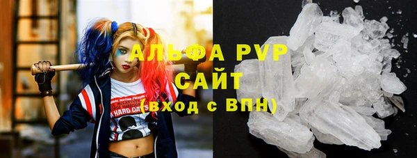 PSILOCYBIN Тихвин