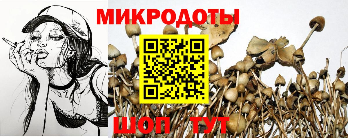 Псилоцибиновые грибы MAGIC MUSHROOMS Сызрань